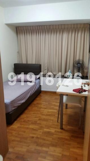 Blk 518D The Premiere @ Tampines (Tampines), HDB 5 Rooms #135465382